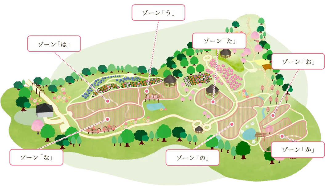 楽しみ方